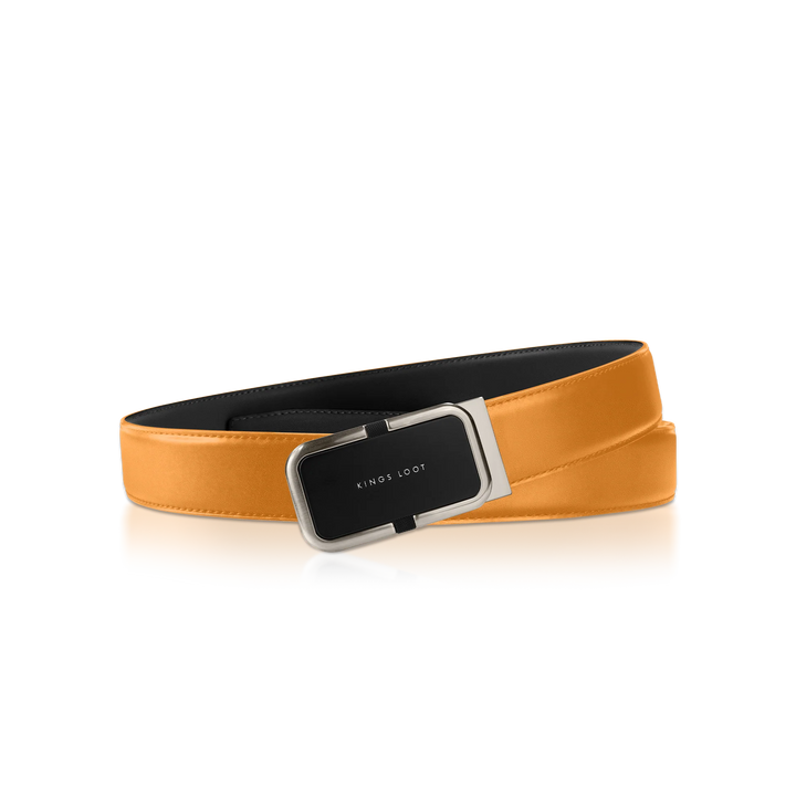 Reversible Belt